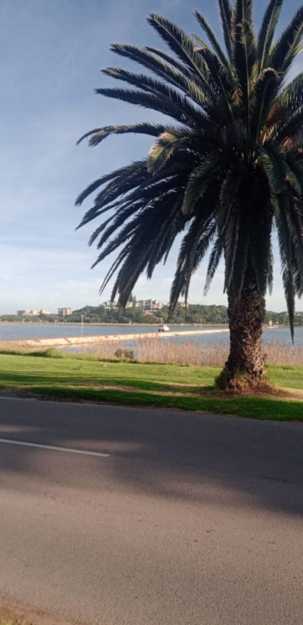 Commercial Property for Sale in Aston Bay Eastern Cape